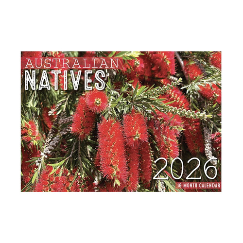 2026 Calendar Australian Natives 16-Month Horizontal Wall, Design Group CAL26023