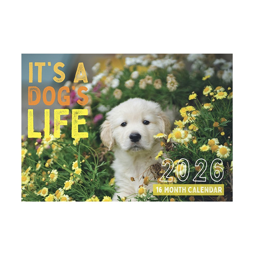 2026 Calendar It's A Dog's Life 16-Month Horizontal Wall, Design Group CAL26033