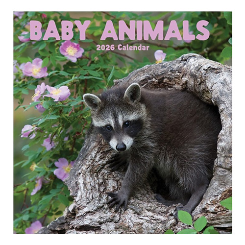 2026 Calendar Baby Animals Square Wall, Design Group CAL26040
