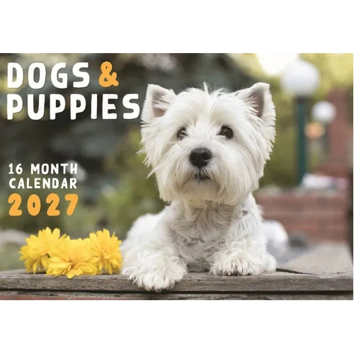 2027 16-Month Calendar Design Group Dogs & Puppies Horizontal Wall, CAL27001