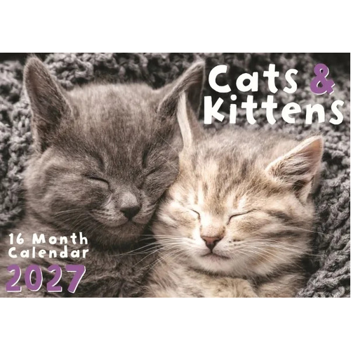 2027 16-Month Calendar Design Group Cats & Kittens Horizontal Wall, CAL27002