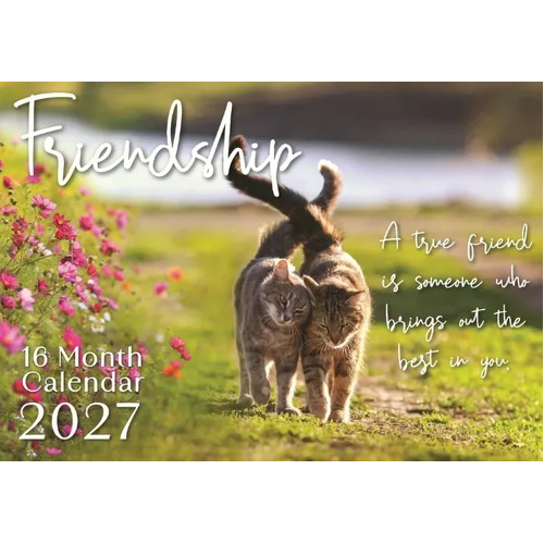 2027 16-Month Calendar Design Group Friendship Horizontal Wall, CAL27003