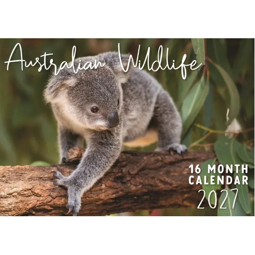 2027 16-Month Calendar Design Group Australian Wildlife Horizontal Wall, CAL27014