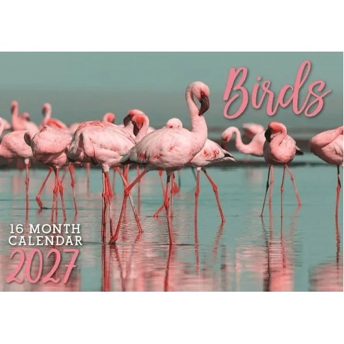 2027 16-Month Calendar Design Group Birds Horizontal Wall, CAL27021