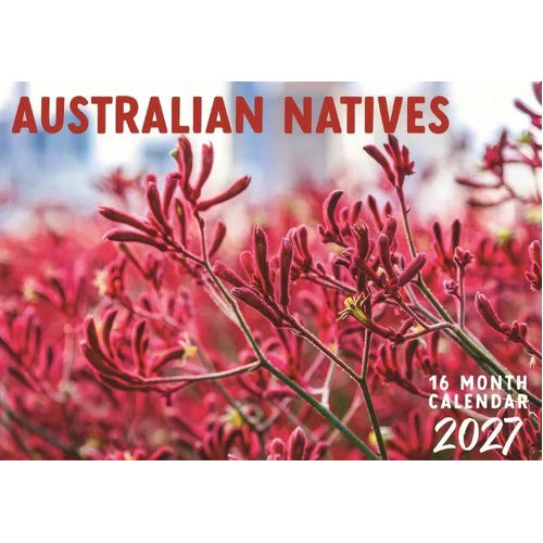 2027 16-Month Calendar Design Group Australian Natives Horizontal Wall, CAL27023