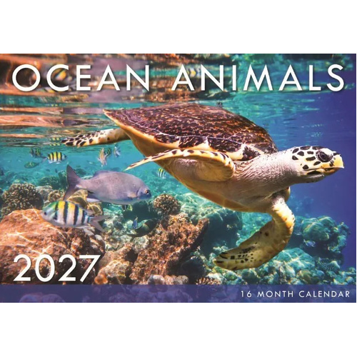 2027 16-Month Calendar Design Group Ocean Animals Horizontal Wall, CAL27027