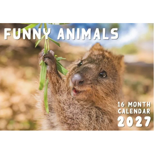 2027 16-Month Calendar Design Group Funny Animals Horizontal Wall, CAL27030