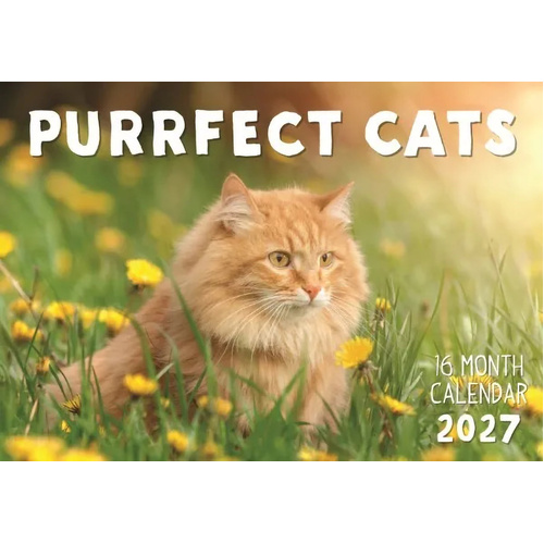 2027 16-Month Calendar Design Group Purrfect Cats Horizontal Wall, CAL27034