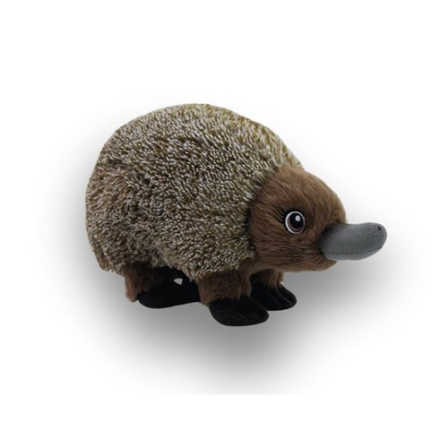 Eco Buddies Plush 18cm - Bub Echidna, ECOB005