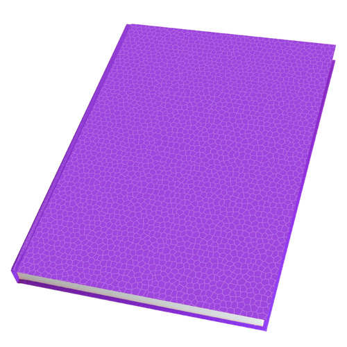 2027 Diary The Last Diary Company Everyday A5 Day to Page Mauve, EA51ME