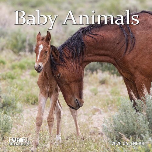 2026 Calendar Ruby Baby Animals Square Wall, Bartel RB616