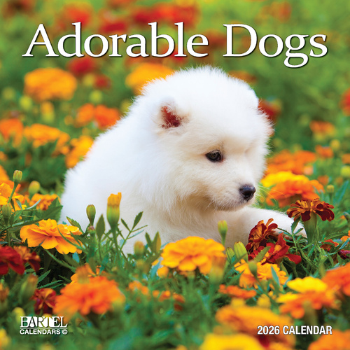 2026 Calendar Ruby Adorable Dogs Square Wall, Bartel RB618