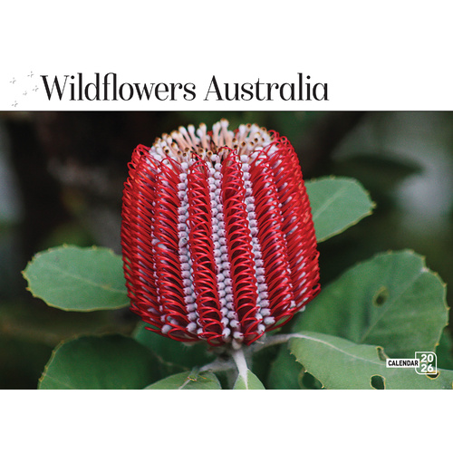 2026 Calendar Prestige Wildflowers of Australia 16-Month Horizontal Wall, Bartel CA606