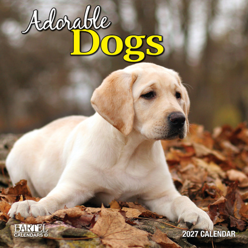 2027 Calendar Bartel Ruby Adorable Dogs Square Wall, RB718