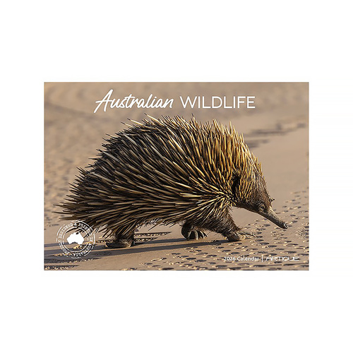 2026 Calendar Australian Wildlife Horizontal Wall, Artique 100631