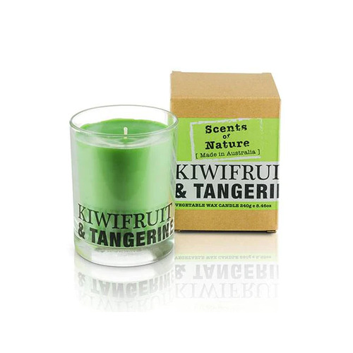 Scents Of Nature Soy Candle 240 g - Kiwifruit & Tangerine by Tilley FG1256