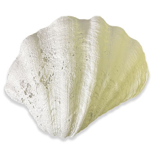 Russell Collection Figurine 27cm Stoup Shell, Whitehill HF STOUP