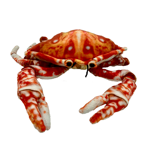 Huggable Toys Aquarium Plush 25cm Crabby Crab, OIcra-Cra