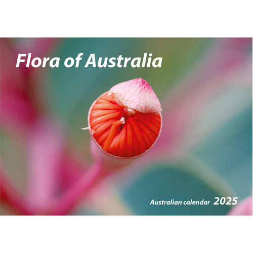 2025 Calendar Flora of Australia Horizontal Wall by New Millennium Images