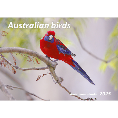 2025 Calendar Australian Birds Horizontal Wall by New Millennium Images
