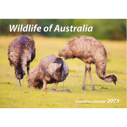 2026 Calendar Wildlife of Australia Horizontal Wall