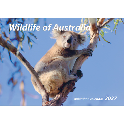 2027 Calendar Wildlife of Australia Horizontal Wall by New Millennium Images