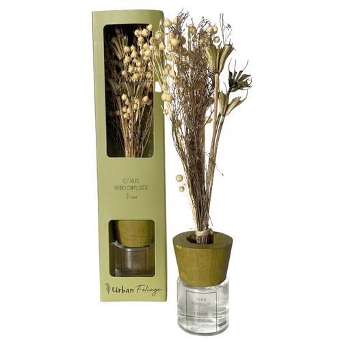 Reed Diffuser Dried Floral Citrus 50mL by Urban Products UH149122