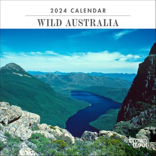 2024 Calendar Wild Australia Mini Wall Browntrout A03377