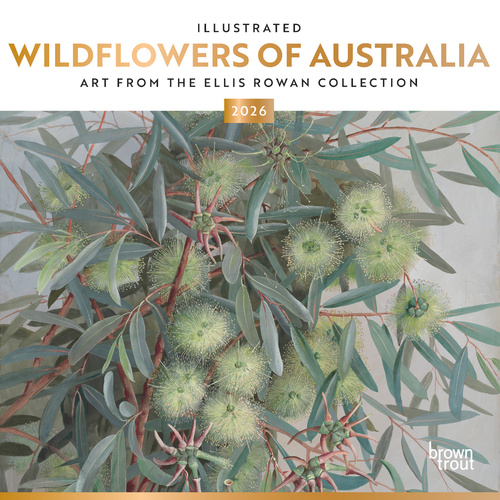 2026 Calendar Illustrated Wildflowers of Australia, Art from the Ellis Rowan Collection Square Wall, BrownTrout A05302