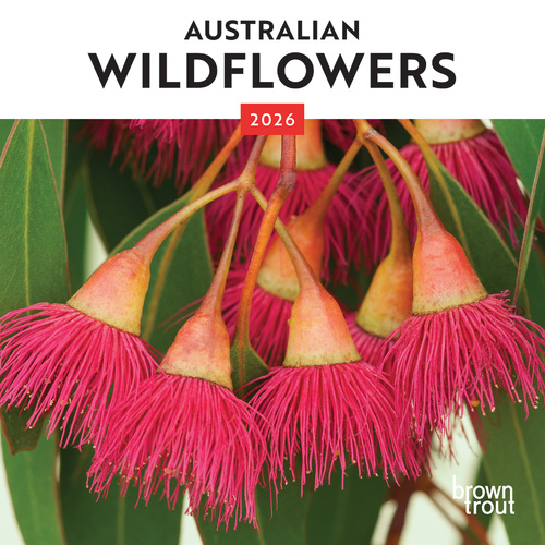 2026 Calendar Australian Wildflowers Mini Wall, BrownTrout A05678