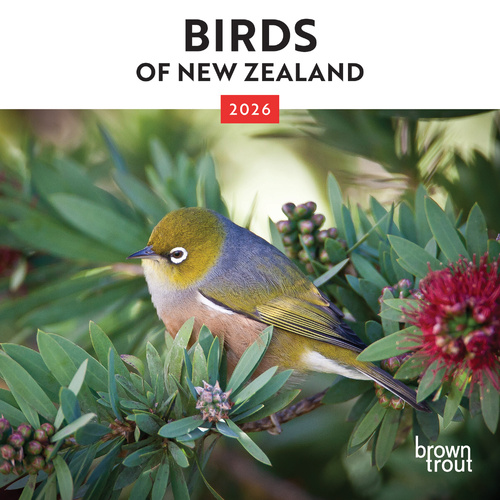 2026 Calendar Birds of New Zealand Mini Wall, BrownTrout A05739