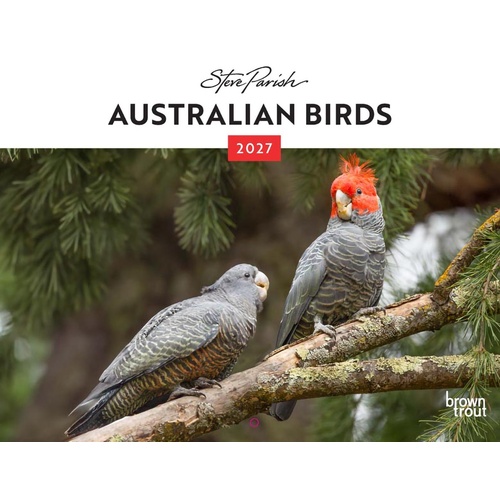 2027 Calendar Steve Parish Australian Birds Horizontal Wall, Browntrout A06651