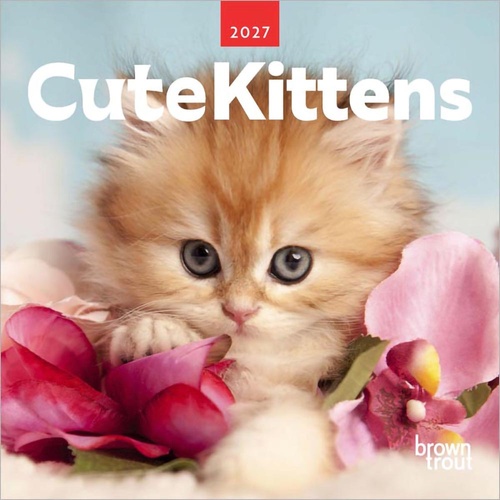 2027 Calendar Cute Kittens Mini Wall, Browntrout A06897