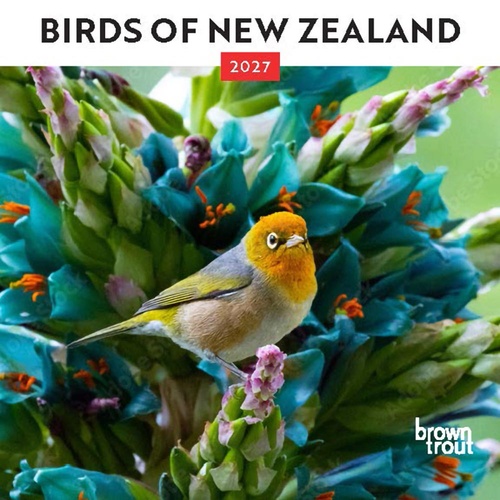 2027 Calendar New Zealand Birds Mini Wall, Browntrout A06927