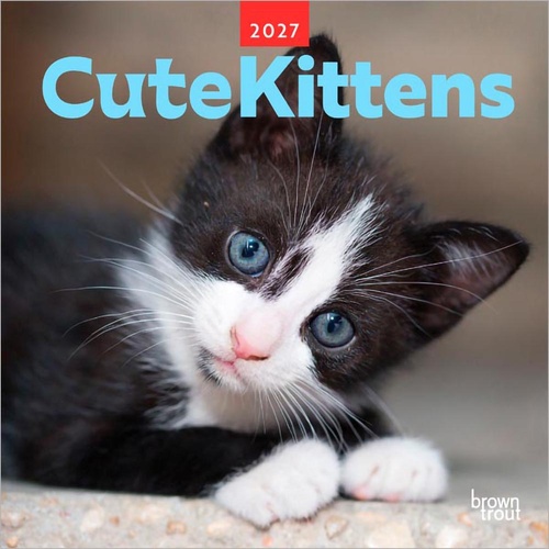 2027 Calendar Cute Kittens Square Wall, Browntrout A07214