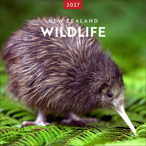 2027 Calendar New Zealand Wildlife Square Wall, Browntrout A07313