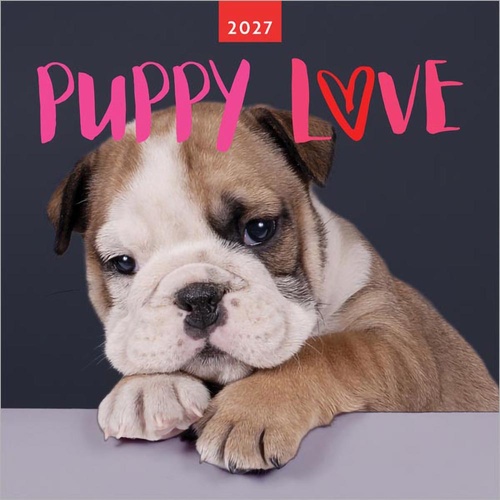 2027 Calendar Puppy Love Square Wall, Browntrout A07344