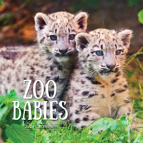 2022 Calendar Zoo Babies Square Wall by Paper Pocket