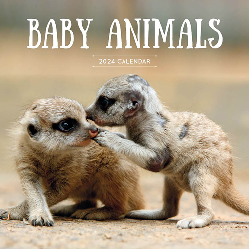 2022 Calendar Baby Animals Square Wall by Paper Pocket 