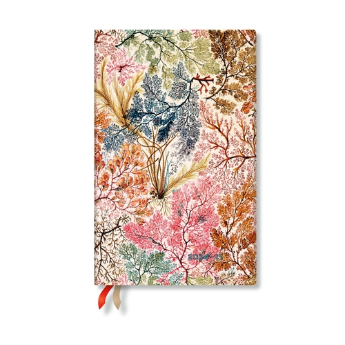 2025 18-Month Diary Paperblanks Anemone Hardcover Maxi Week-At-A-Time Vertical