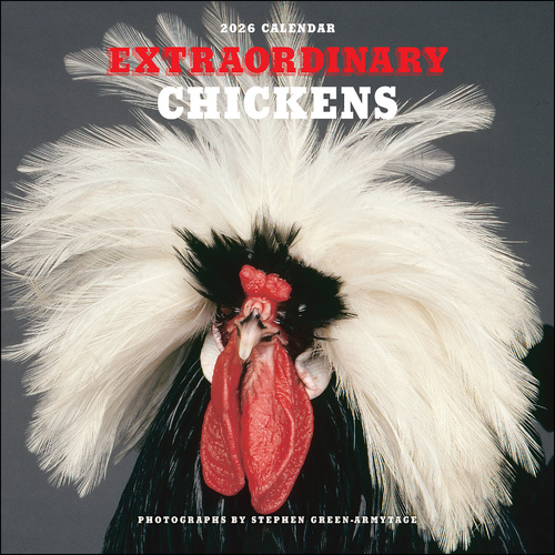 2026 Calendar Extraordinary Chickens Square Wall, Andrews McMeel AM82459