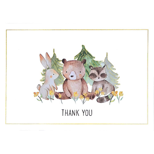 Peter Pauper Press Boxed Thank You Note Cards - Baby 341778