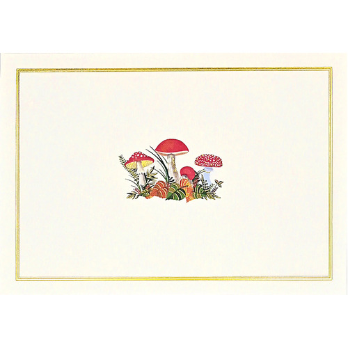 Peter Pauper Press Boxed Blank Note Cards - Mushrooms 341907