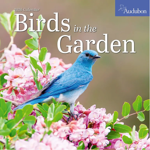2026 Calendar Audubon Birds in the Garden Square Wall, Workman