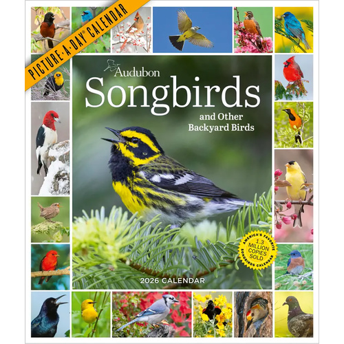 2026 Calendar Audubon Songbirds And Other Backyard Birds Picture-A-Day Vertical Wall, Workman