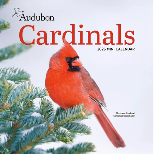 2026 Calendar Audubon Cardinals Mini Wall, Workman