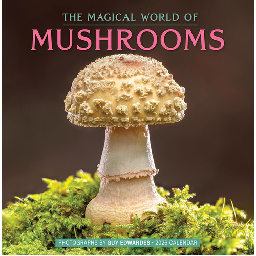 2026 Calendar The Magical World of Mushrooms Square Wall, Workman