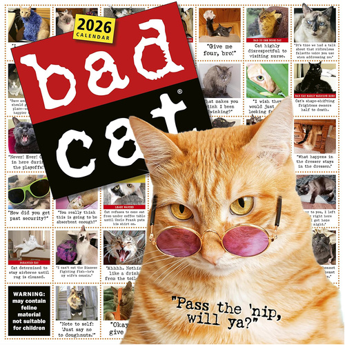 2026 Calendar Bad Cat Square Wall, Workman