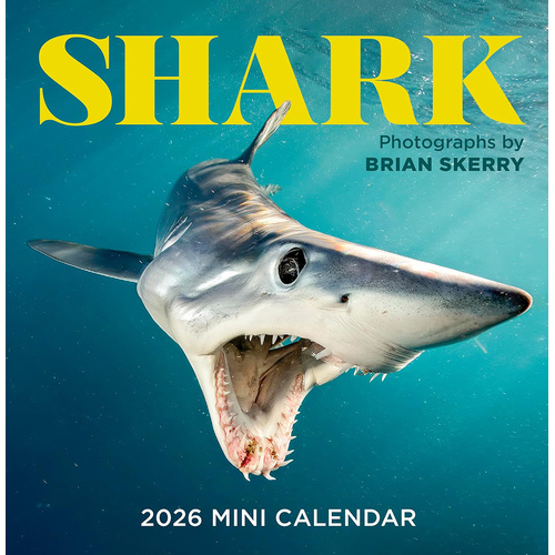 2026 Calendar Sharks Mini Wall, Workman