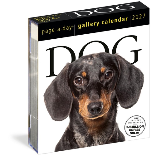 2027 Calendar Page-A-Day Gallery Dog Day-to-Day Boxed, Workman